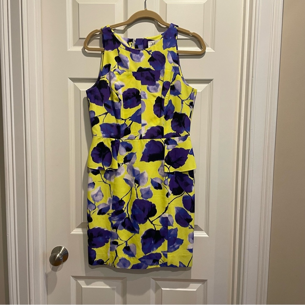 Molly of New York Size 8 Peplum Watercolor Floral Sleeveless Cocktail Dress
